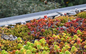 the cost of Capernwray green roof installation