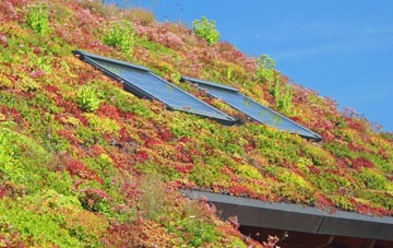 Capernwray living roof systems