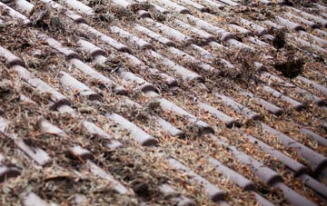 Capernwray roof cleaning companies