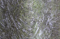 Capernwray fibreglass roof work